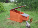 Chicken house by Wood Cave